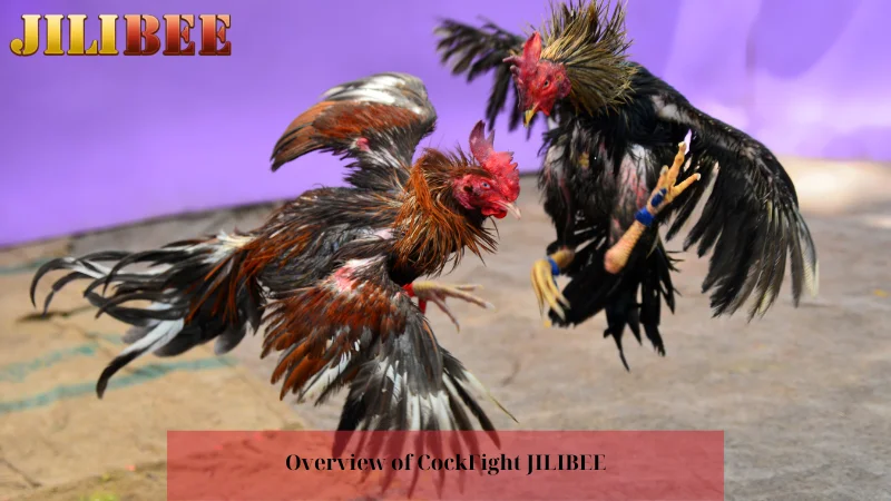 how to bet on csgolounge